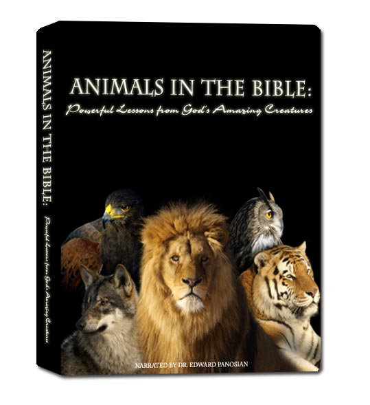 Animals in the Bible DVD